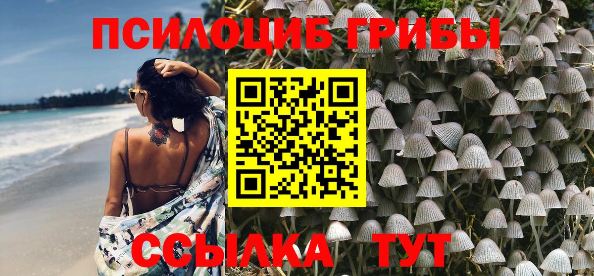 Псилоцибиновые грибы Psilocybe  Вход с VPN  Хасавюрт 